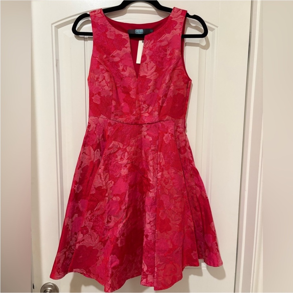 Eva Franco Fit and Flare Mini Dress Size 4 NWT Pink Floral Jacquard